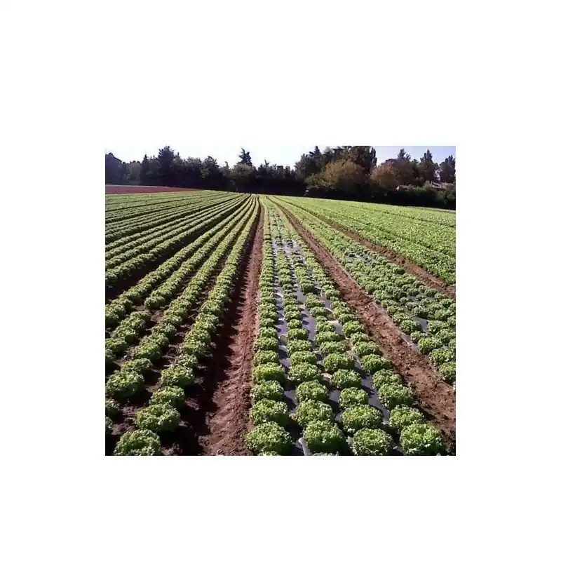 Imprescindible (Must-Have) Plastico lineal biodegradable 1.10x100 m