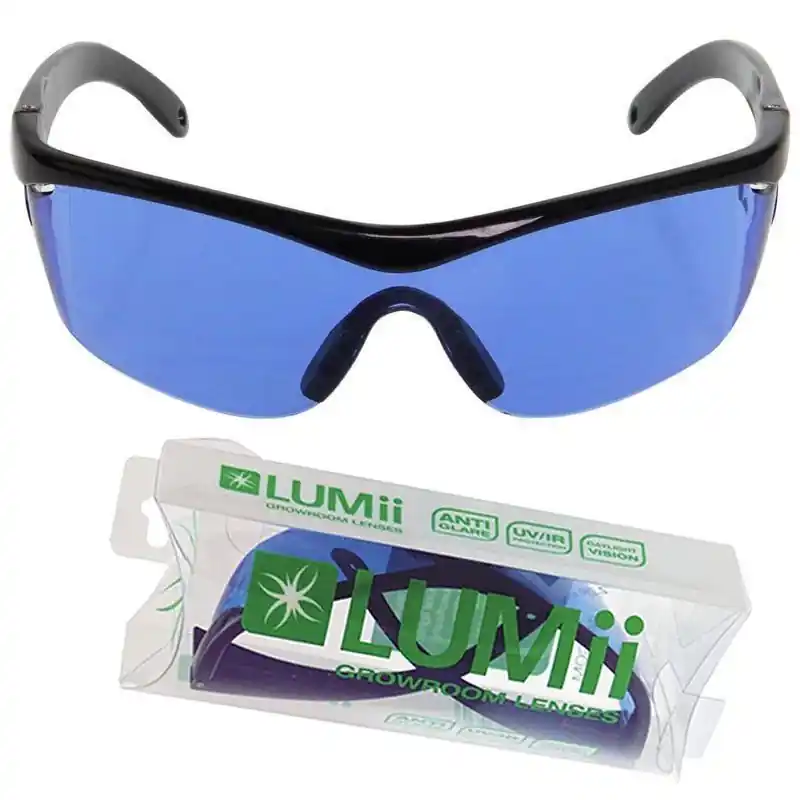 Gafas protección habitaciones Grow Solo Hoy