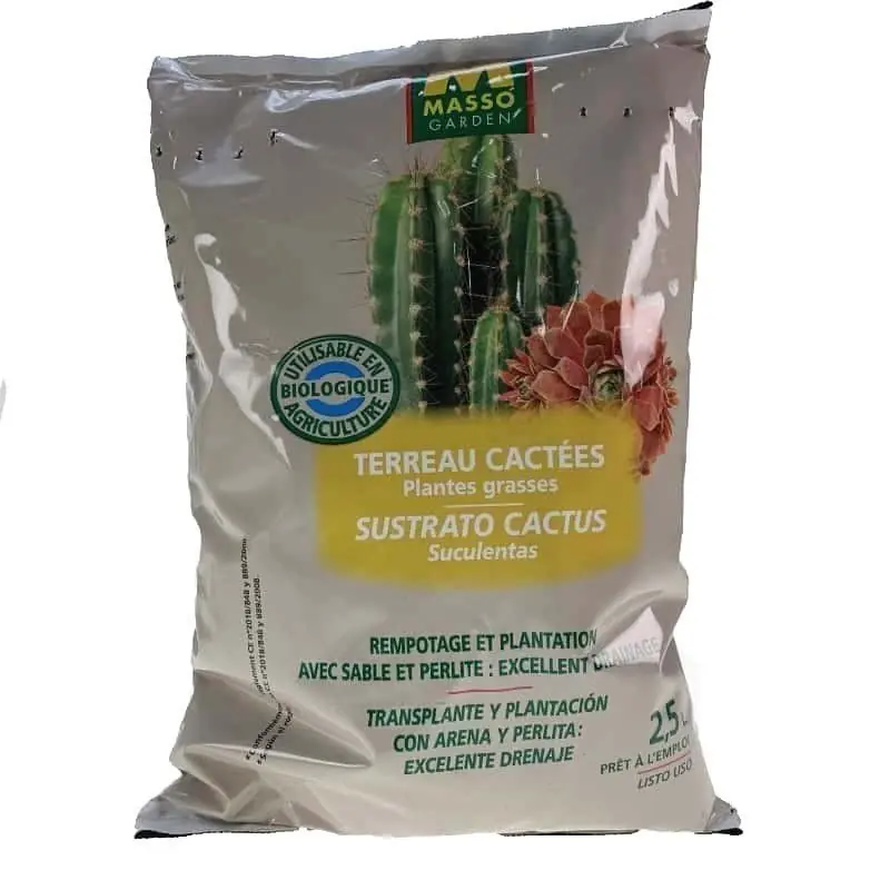 Oferta Limitada Pack Cactus