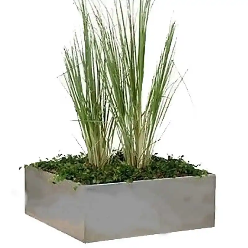 Jardinera de acero inoxidable cubo bajo Popular