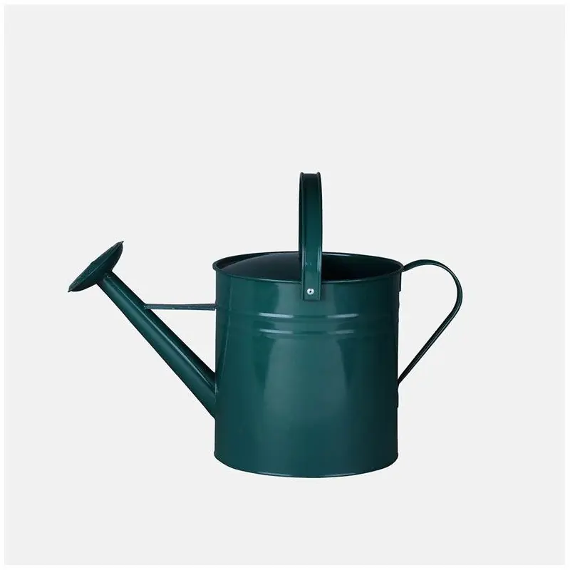 Exclusivo Regadera Zinc metal verde