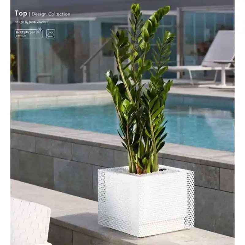 Jardineras Top Oferta Flash