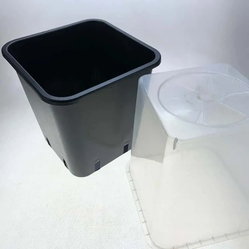 Maceta mini invernadero Nueva Colección
