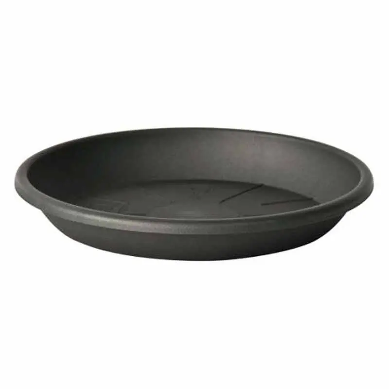 Precio Reducido Platos Medea