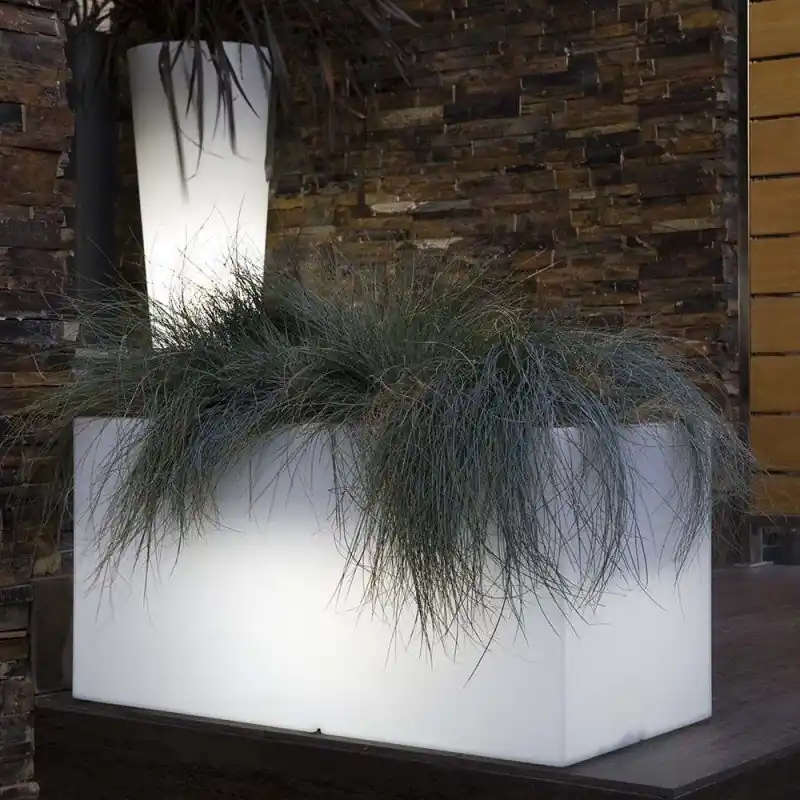 Rodr-I Luz Envío Internacional
