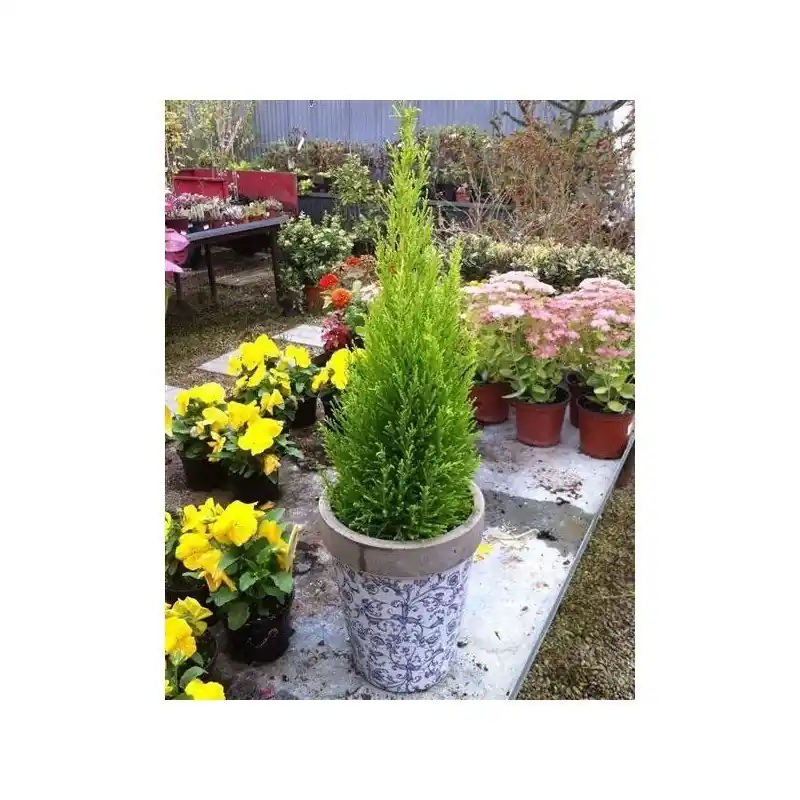 Mejor Precio Florero redondo ceramica grande