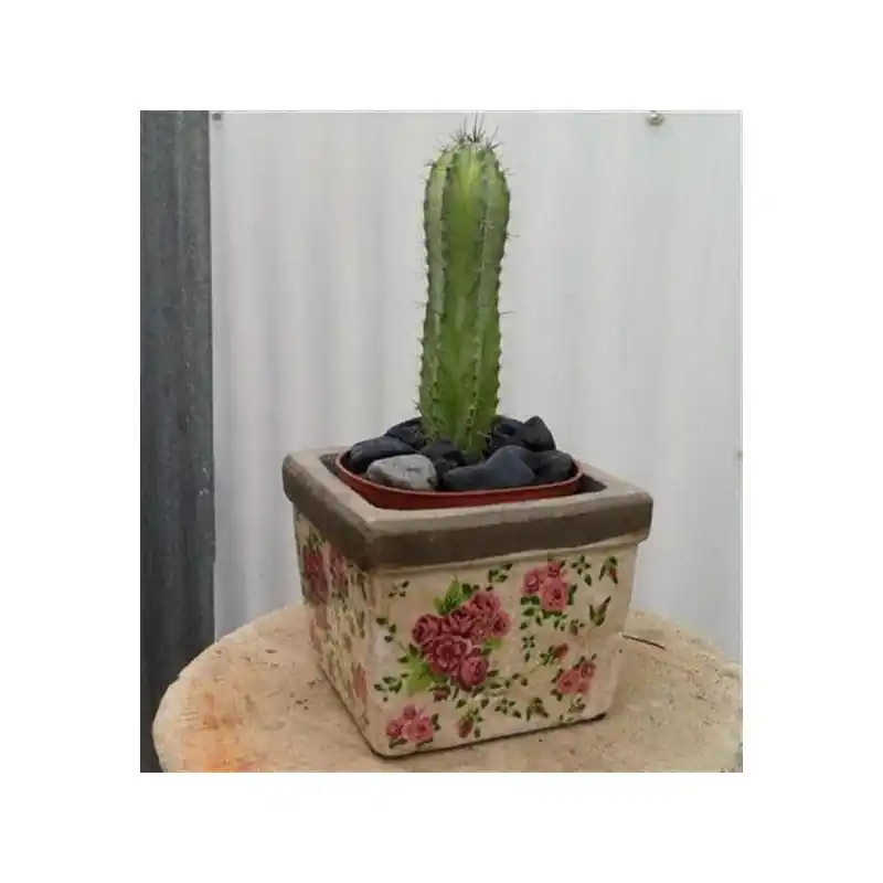 Exclusivo Tiesto cuadrado ceramica peque rosas