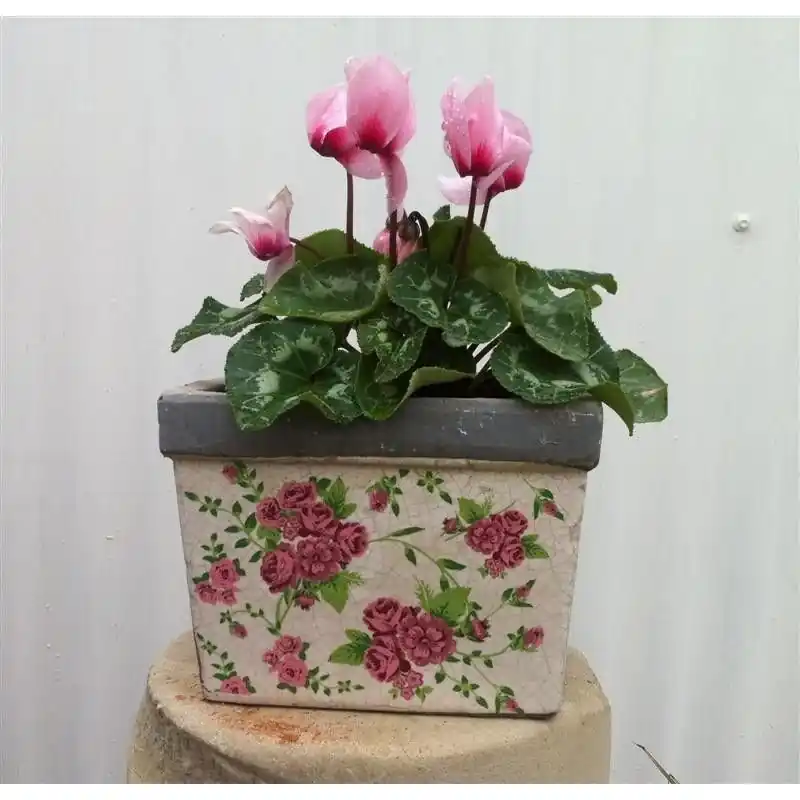 Tiesto cuadrado ceramica mediano rosas Última Oportunidad