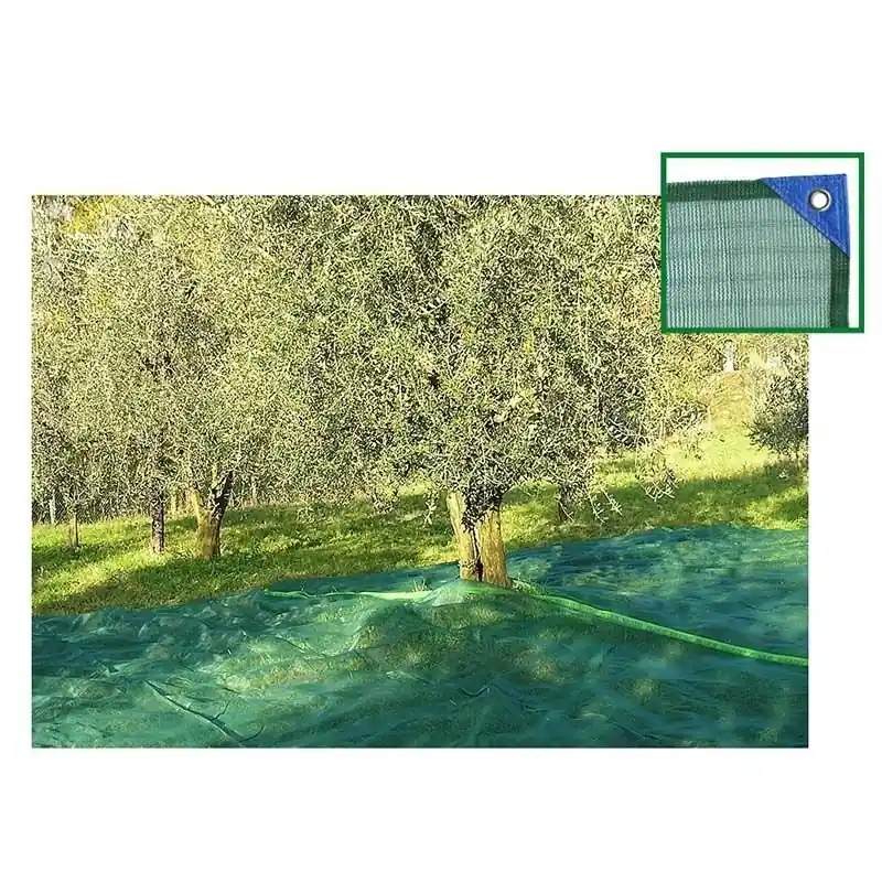 Oferta Manta de aceitunas reforzada