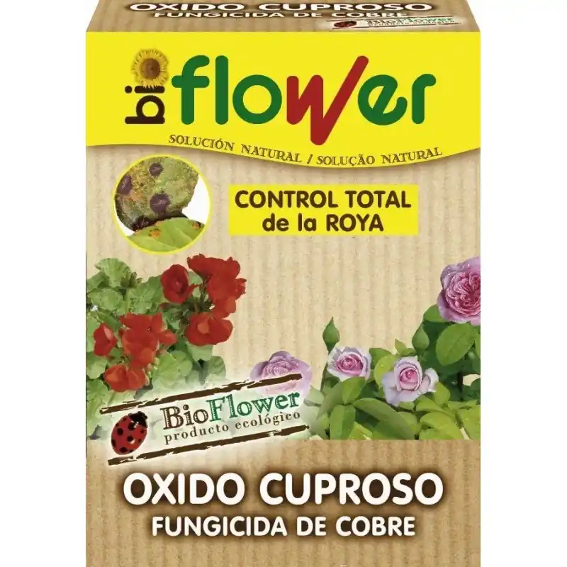 Imprescindible (Must-Have) Sal de cobre 90 gr