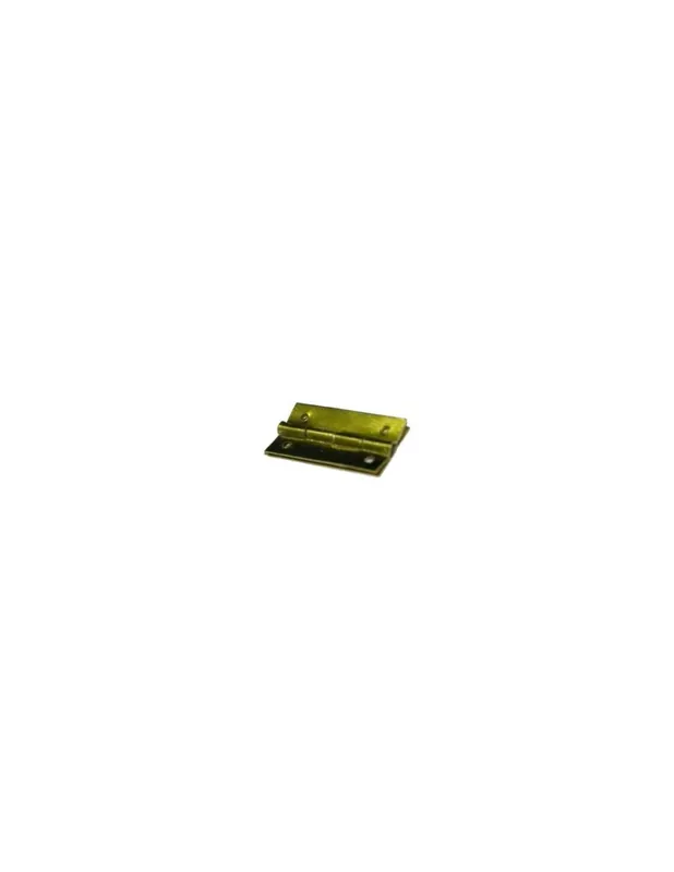 BISAGRA ESTUCHE 30X15 mm 5ud Envío Internacional