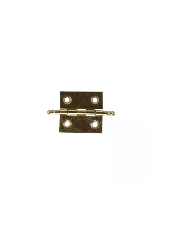 Disponible Ahora BISAGRA LATONADA 40X35mm 2ud