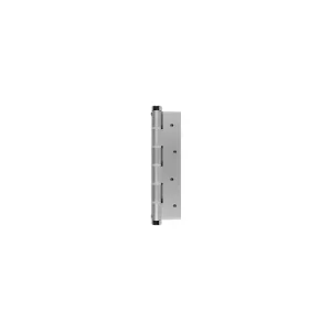 BISAGRA SIMPLE ACCION PLATA 180X80mm Envío Internacional