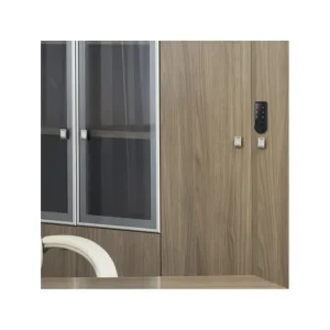 Auténtico CERRADURA ARREGUI SOBREPONER SOFT xxx