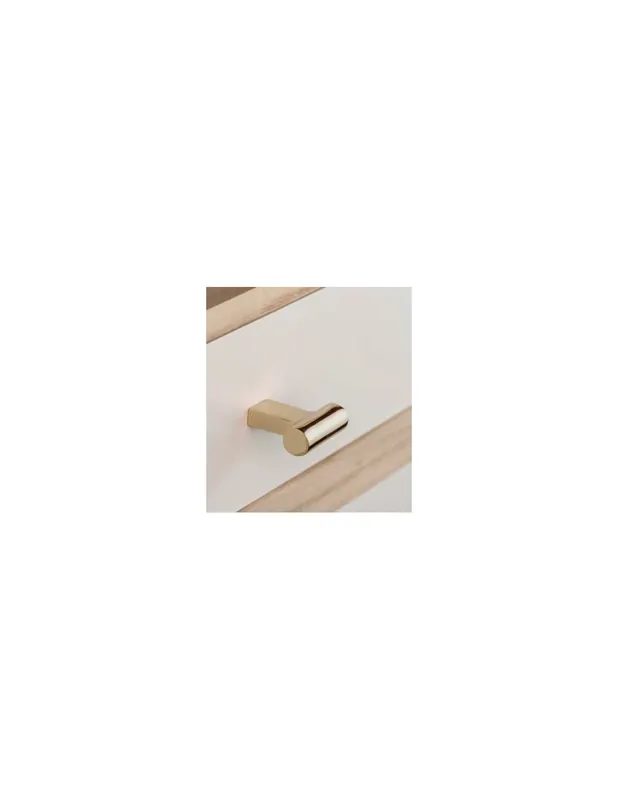 Edición Limitada POMO T PARA MUEBLE LATON VINTAGE 36MM