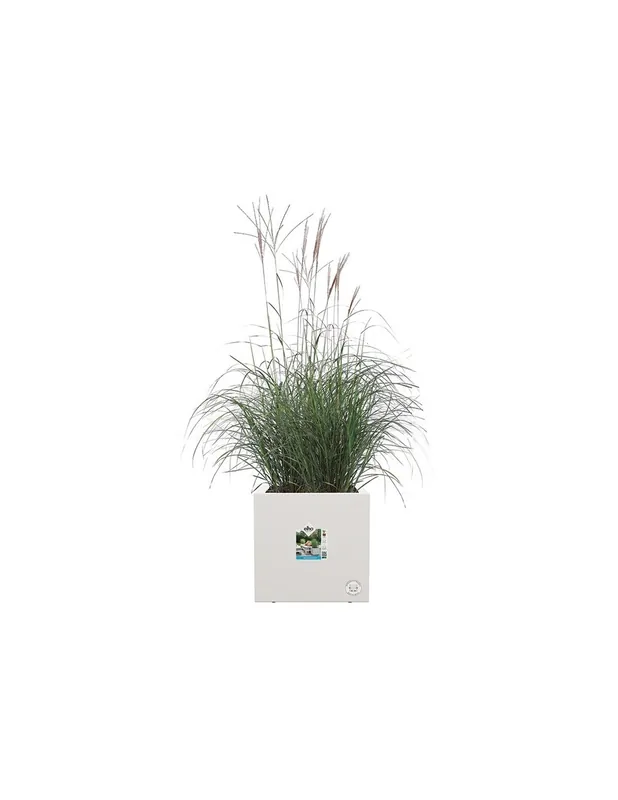 Favorito De Clientes MACETA CUBO DE 40CM BLANCO