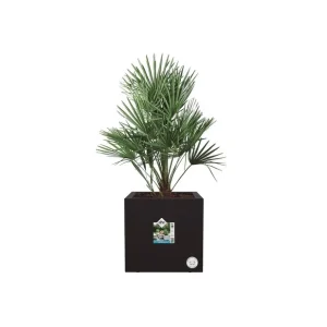 Auténtico MACETA CUBO DE 40CM NEGRO