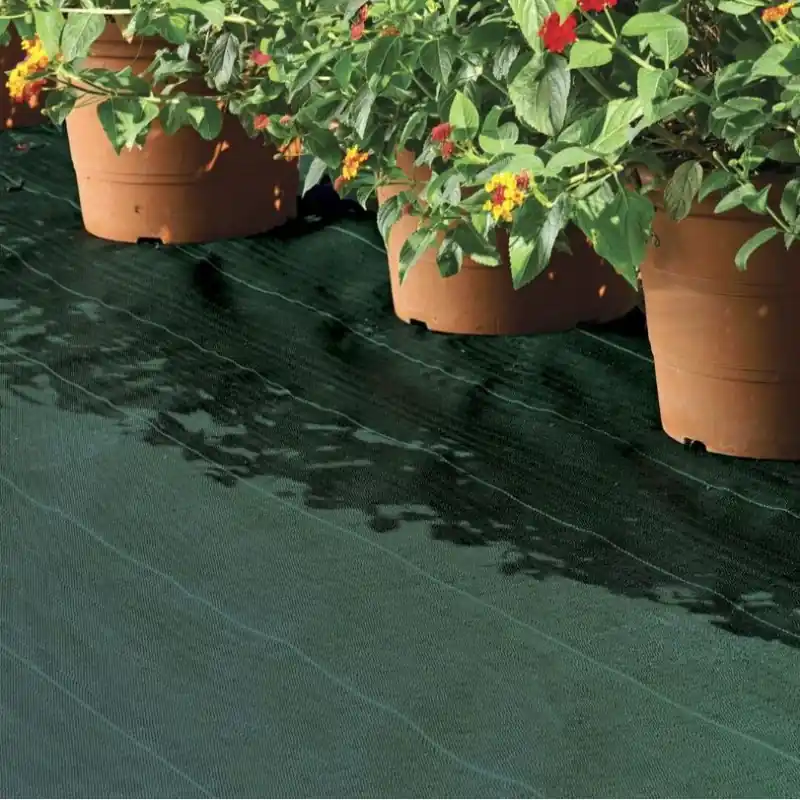 Edición Limitada Malla Antihierbas verde 1 x 100 m, 105 gr/m2, Malla geotextil Permeable al Agua Transpirable. Protección contra Malas Hierbas