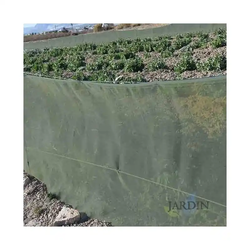 Marca Reconocida Malla cortavientos para protección de cultivos 2 x 100 m, verde, protección contra vientos y clima extremo