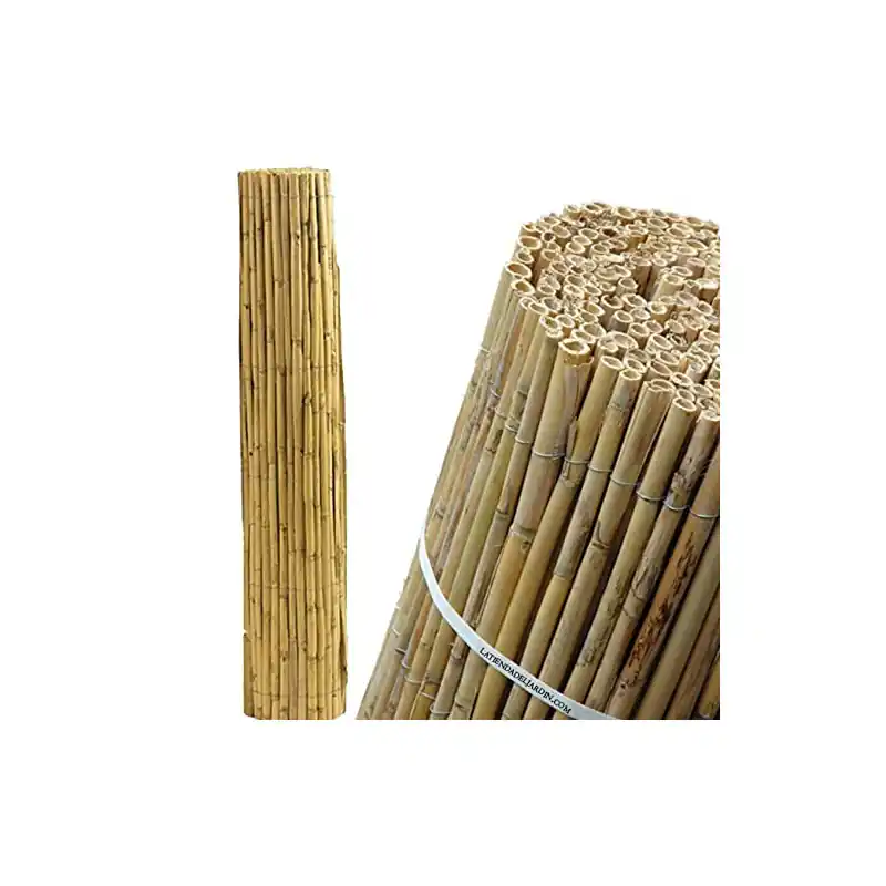 Cañizo 1x10 metros | Cañizo Entero Natural para Vallado | Valla Caña Entera | Cerramiento de caña completa | Cañizo Grueso Alta Calidad