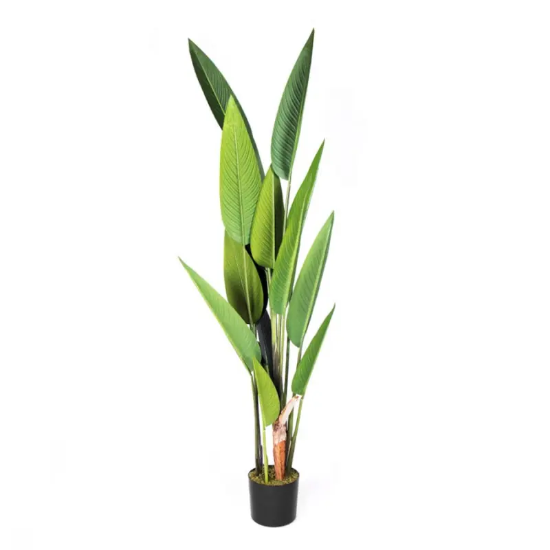 Solo Por Tiempo Limitado Planta Artificial Ave Paraiso 188cm con Macetero | Plantas de Plástico para Decoración de Jardín Interior y Exterior