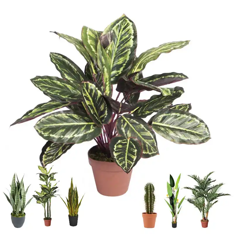 Planta Artificial Calatea Cebra 49cm con Macetero | Plantas de Plástico para Decoración de Jardín Interior y Exterior Directo De Fábrica