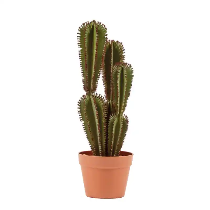 Planta Artificial Captus Euphorbia Suzannae 57cm con Macetero | Plantas de Plástico para Decoración de Interior y Exterior Premium